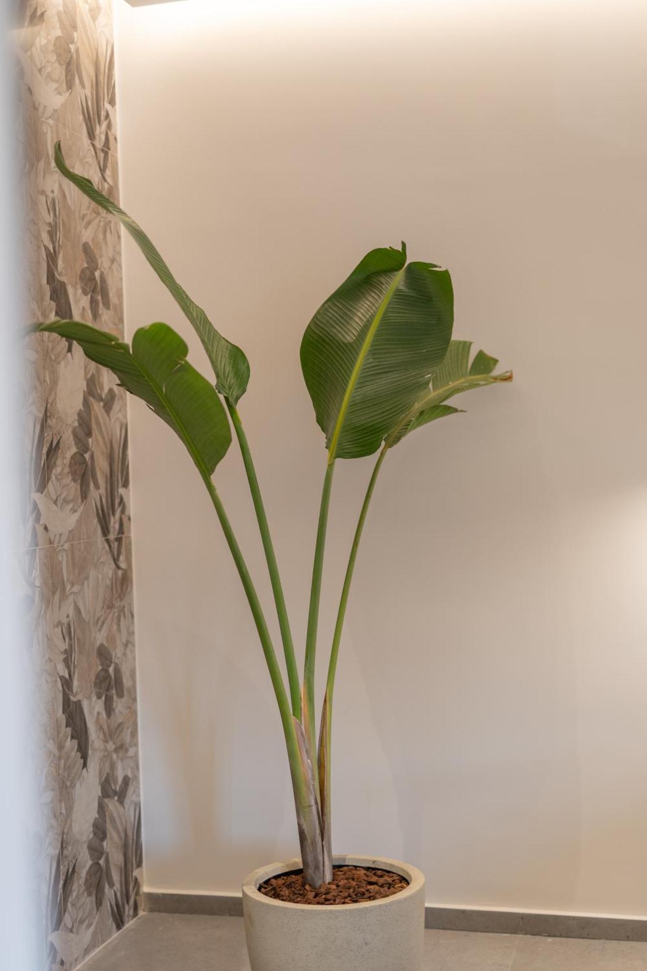 Le Fleur Suite Heraklion  Bagian luar foto